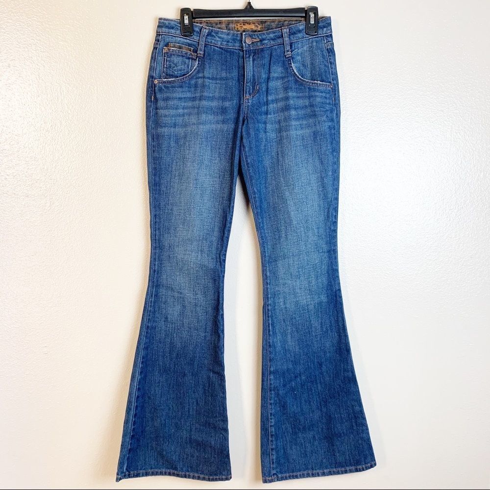 Wild Joe’s Jeans Visionaire Flare Jeans‎ Size 27
